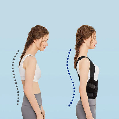 Ceinture dos