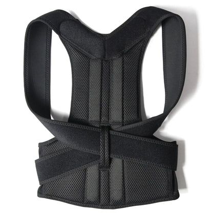 Ceinture dos droit